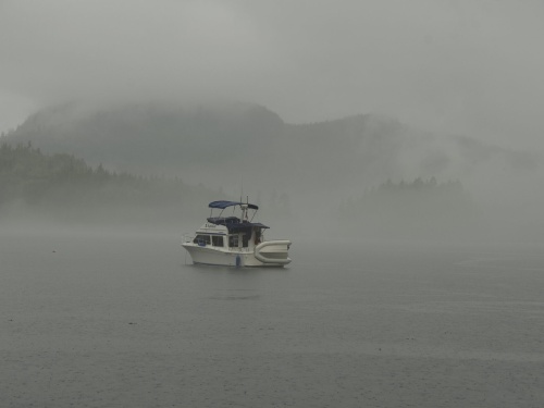 Fog is a regular occurrence during winter cruising
