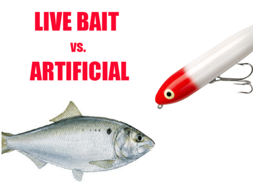 live bait s artificial article