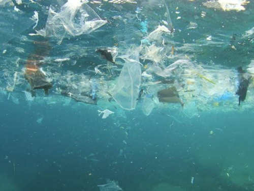 plastics in the ocean